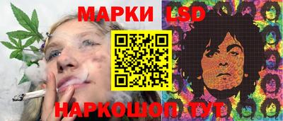 крисы Славгород