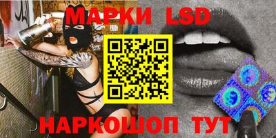 крисы Славгород