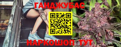 крисы Славгород