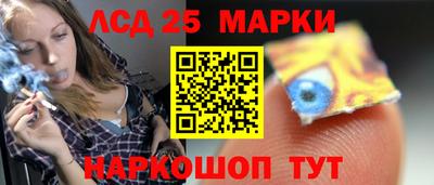 крисы Славгород