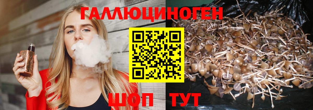 Новоалтайск  Псилоцибиновые грибы Psilocybe  Вход с VPN 